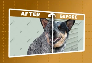 IMPACT DIGITIZING BEFORE AFTER (13)