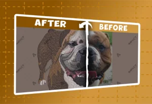 IMPACT DIGITIZING BEFORE AFTER (18)