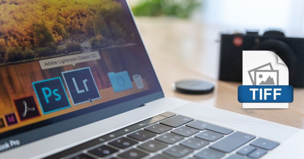 Is a TIFF File a Vector Format? What You Need to Know